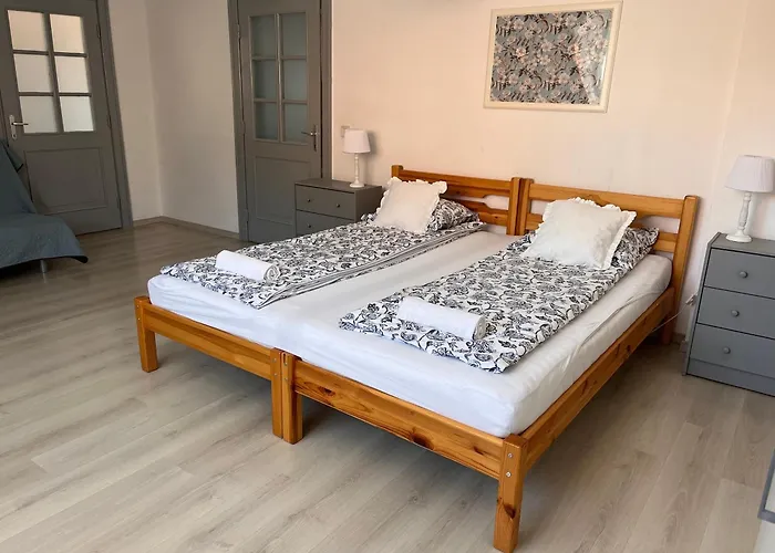 Pacsirta Grand בית הארחה *